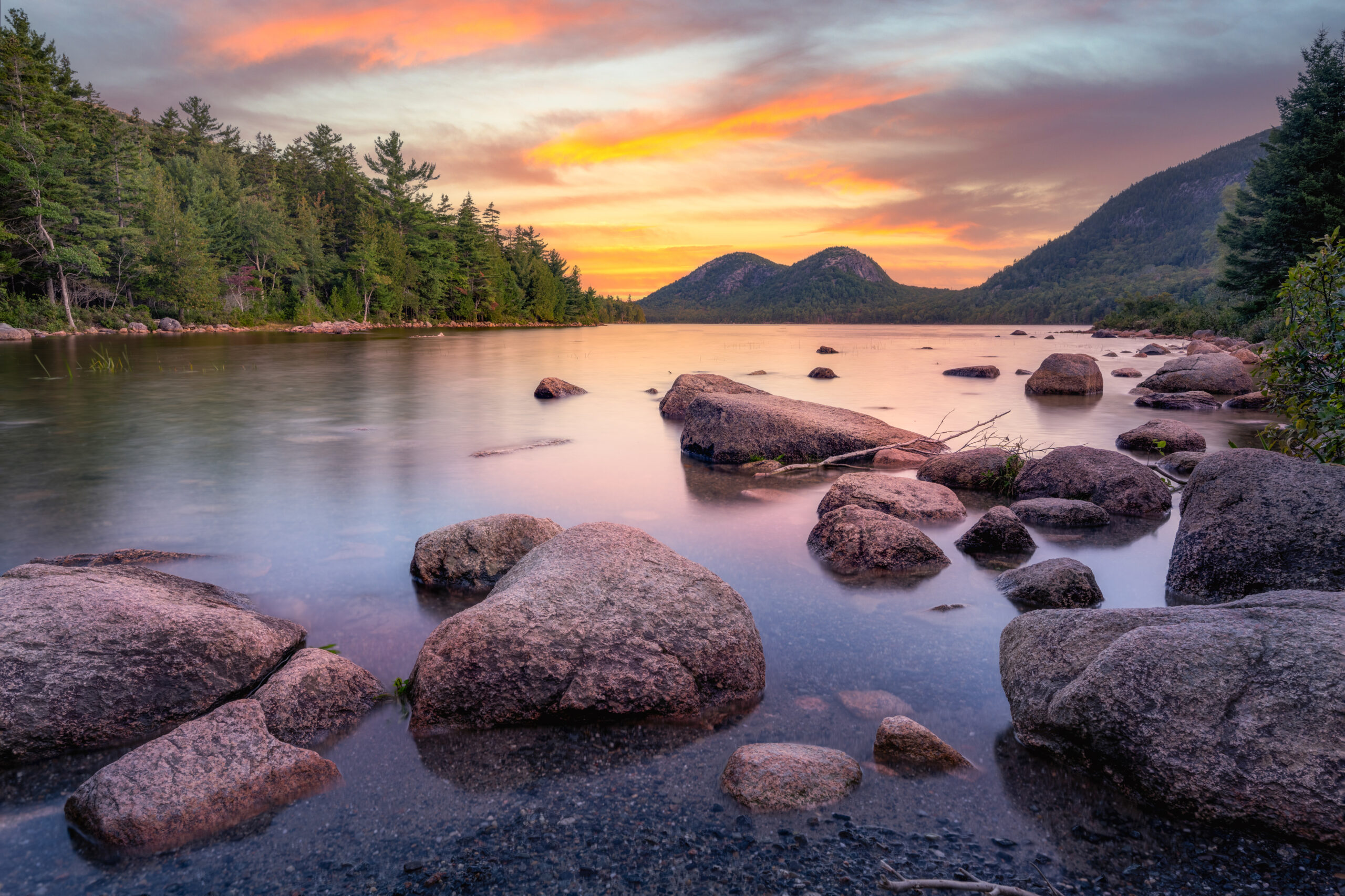 Image of nature